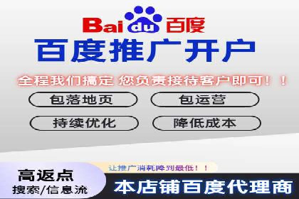 百度竞价排名服务：实战案例教你如何高效推广